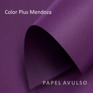 Papel Color Plus Mendoza