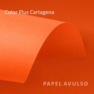 Papel Color Plus Cartagena
