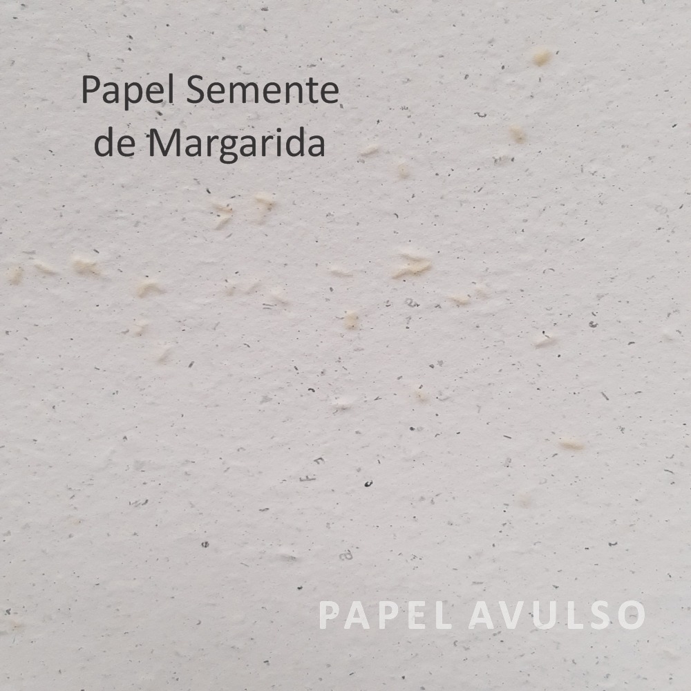 Papel Semente de Margarida