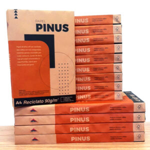 Papel Reciclado Pinus 90g