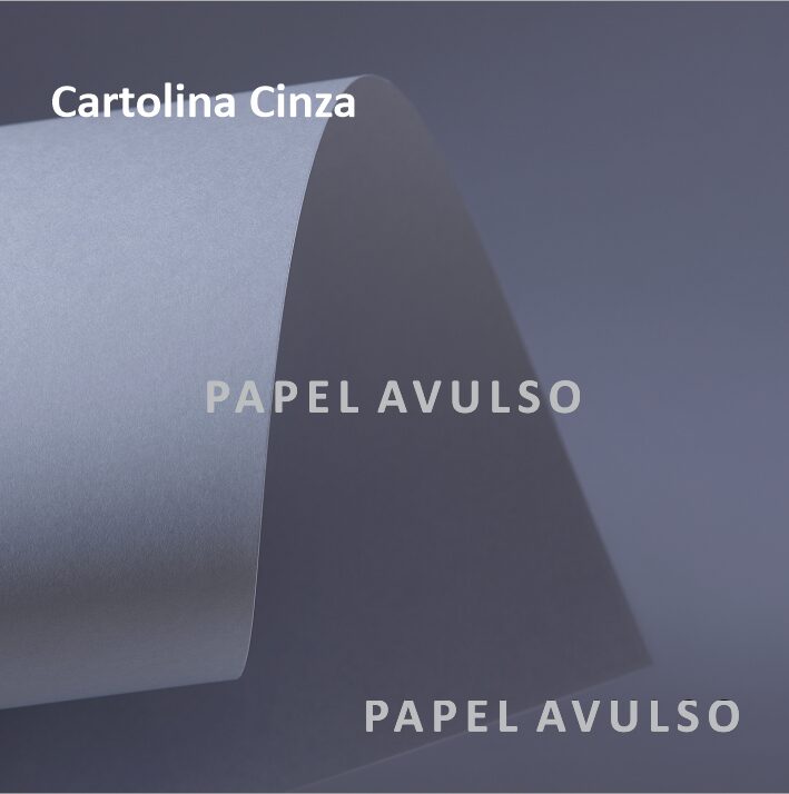 Papel Cartolina Cinza - Tamanho 55x73 cm